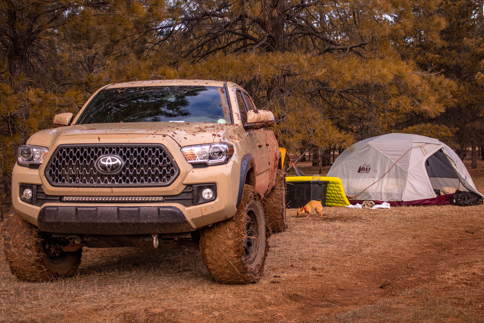 Toyota Tacoma 3 5 V6 Engine Problems And Reliability 